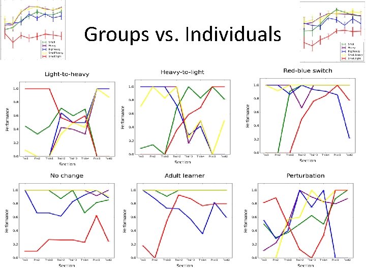 Groups vs. Individuals 