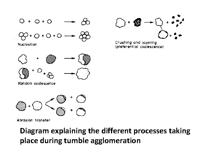 Diagram explaining the different processes taking place during tumble agglomeration 