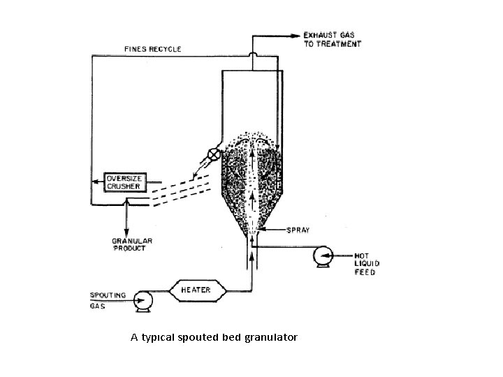 A typical spouted bed granulator 