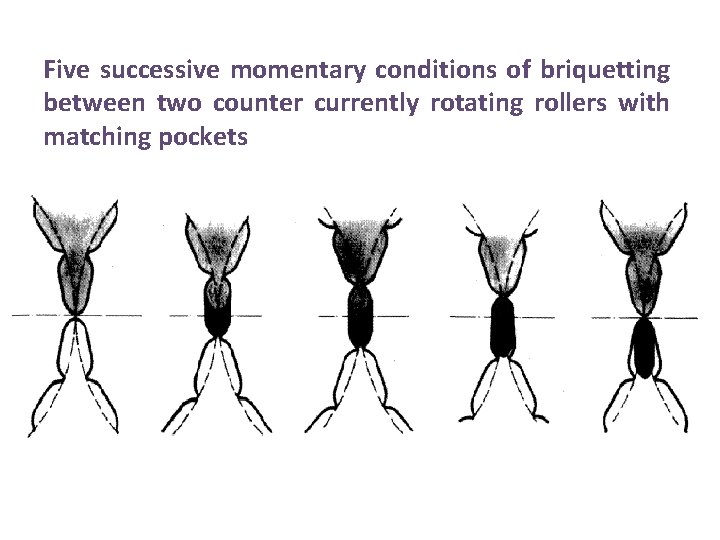 Five successive momentary conditions of briquetting between two counter currently rotating rollers with matching