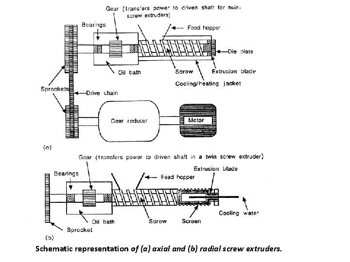 Schematic representation of (a) axial and (b) radial screw extruders. 