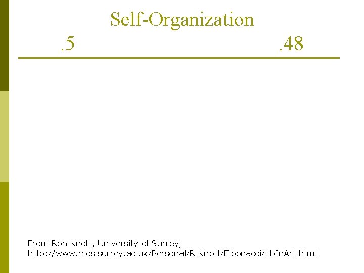 Self-Organization. 5 . 48 From Ron Knott, University of Surrey, http: //www. mcs. surrey.