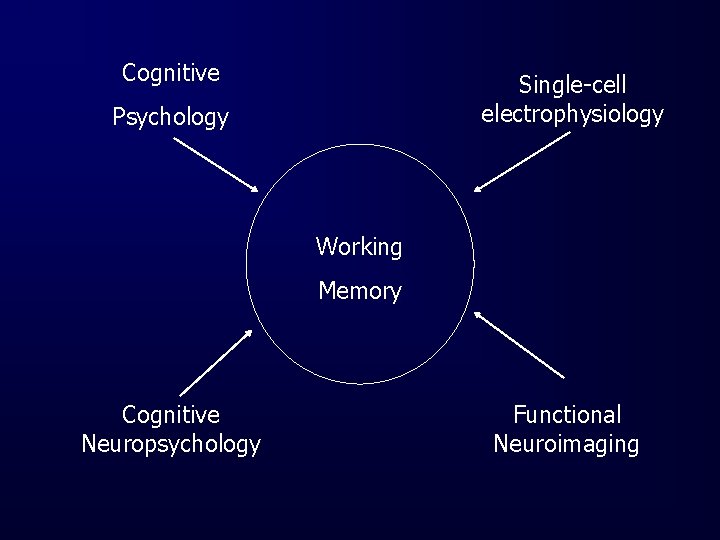 Cognitive Single-cell electrophysiology Psychology Working Memory Cognitive Neuropsychology Functional Neuroimaging 
