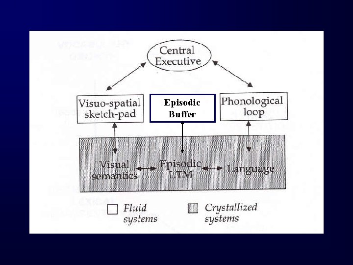 Episodic Buffer 