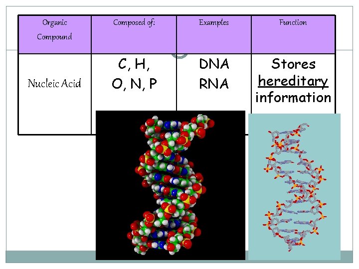 Organic Compound Nucleic Acid Composed of: Examples Function C, H, O, N, P DNA Organic Compound Nucleic Acid Composed of: Examples Function C, H, O, N, P DNA