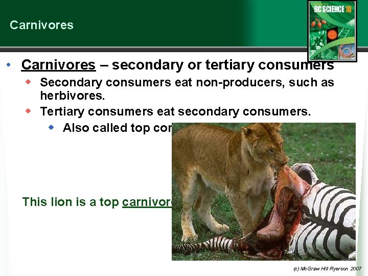 Carnivores • Carnivores – secondary or tertiary consumers w Secondary consumers eat non-producers, such