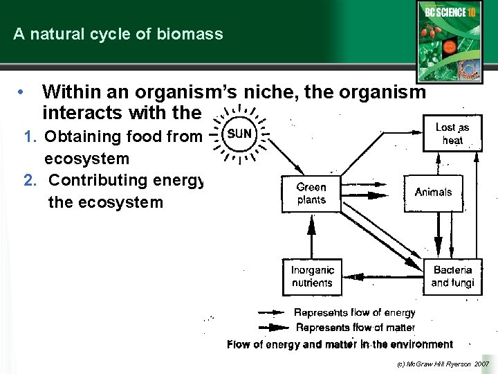 A natural cycle of biomass • Within an organism’s niche, the organism interacts with