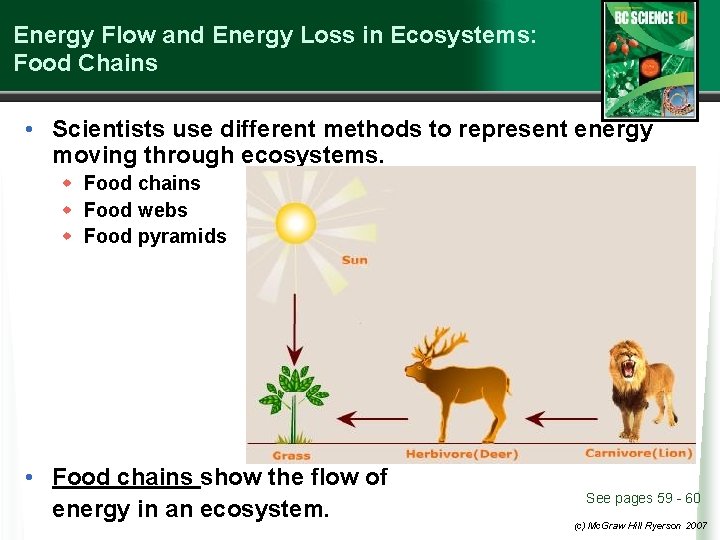 Energy Flow and Energy Loss in Ecosystems: Food Chains • Scientists use different methods