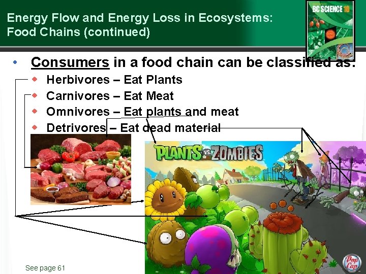 Energy Flow and Energy Loss in Ecosystems: Food Chains (continued) • Consumers in a