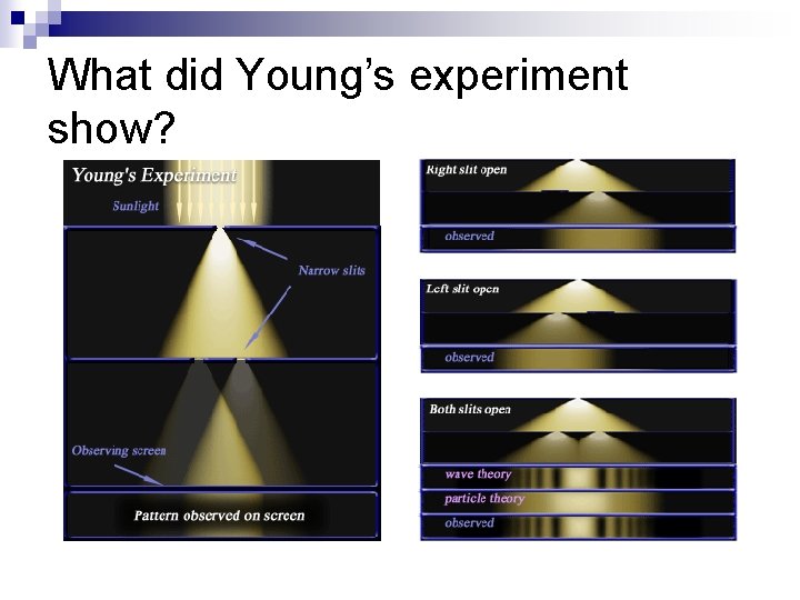 What did Young’s experiment show? 
