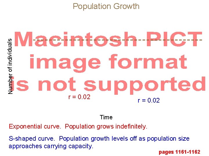 Number of individuals Population Growth r = 0. 02 Time Exponential curve. Population grows