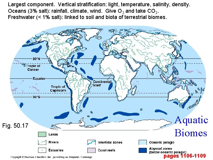Largest component. Vertical stratification: light, temperature, salinity, density. Oceans (3% salt): rainfall, climate, wind.
