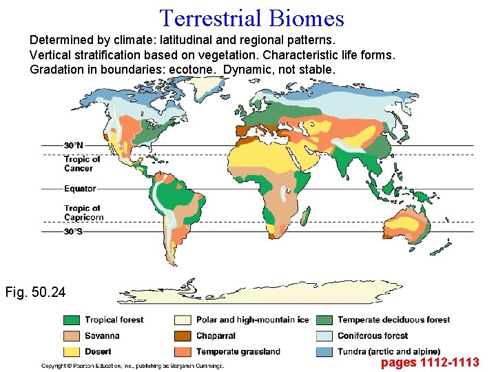 Terrestrial Biomes Determined by climate: latitudinal and regional patterns. Vertical stratification based on vegetation.