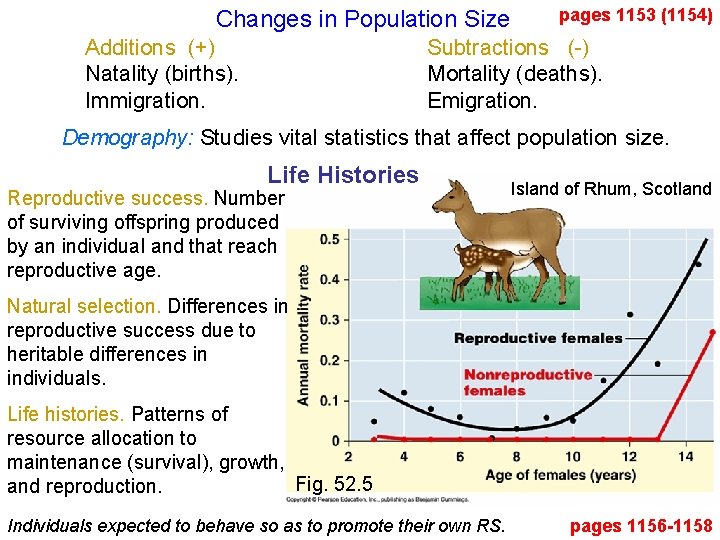 Changes in Population Size Additions (+) Natality (births). Immigration. pages 1153 (1154) Subtractions (-)