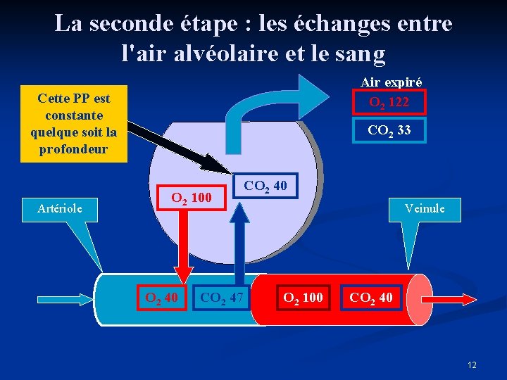 La seconde étape : les échanges entre l'air alvéolaire et le sang Air expiré