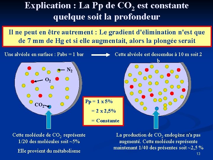 Explication : La Pp de CO 2 est constante quelque soit la profondeur Il