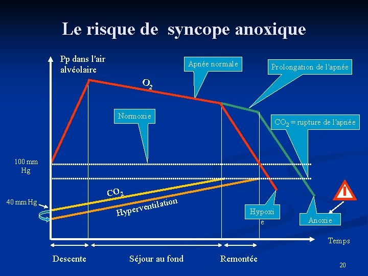Le risque de syncope anoxique Pp dans l'air alvéolaire Apnée normale Prolongation de l'apnée