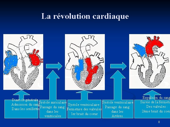 La révolution cardiaque Diastole générale : Systole auriculaire Systole ventriculaire Admission du sang Systole
