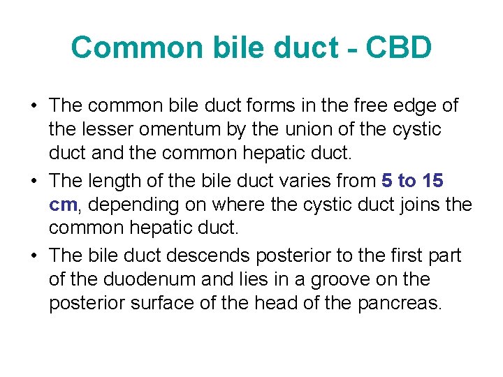 Common bile duct - CBD • The common bile duct forms in the free