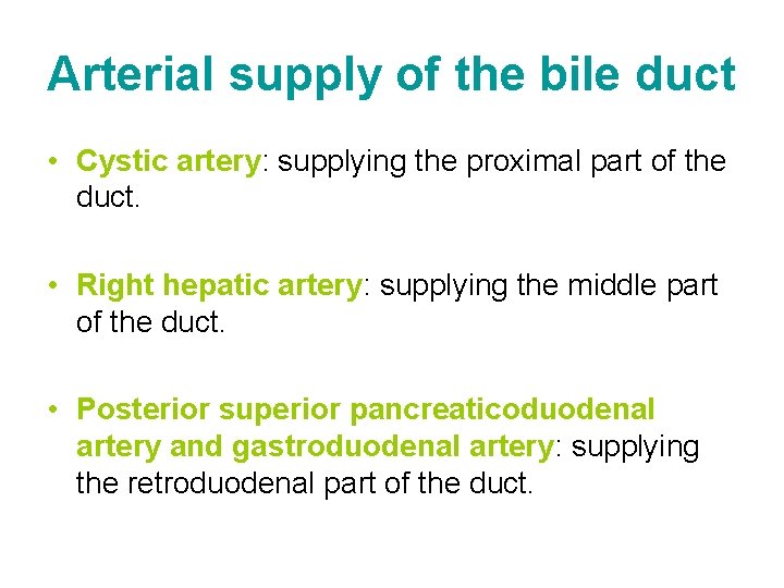 Arterial supply of the bile duct • Cystic artery: supplying the proximal part of