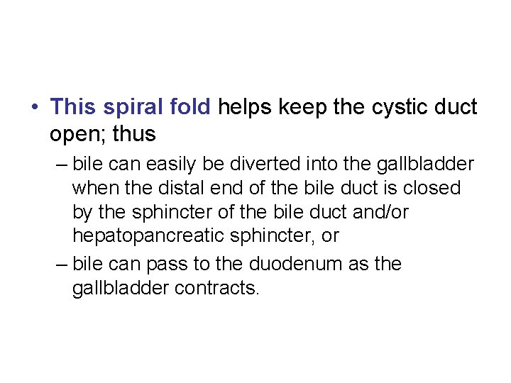  • This spiral fold helps keep the cystic duct open; thus – bile