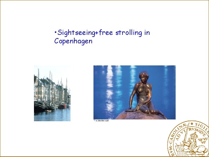  • Sightseeing+free strolling in Copenhagen 