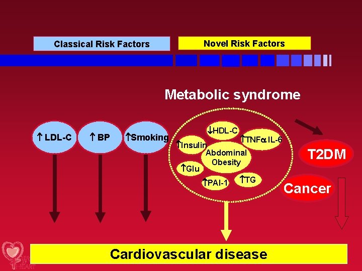 Novel Risk Factors Classical Risk Factors Metabolic syndrome LDL-C BP Smoking HDL-C TNF IL-6