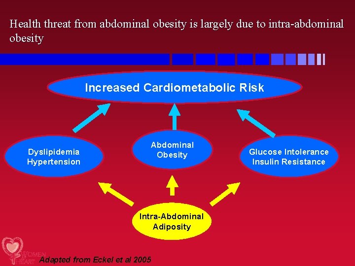 Health threat from abdominal obesity is largely due to intra-abdominal obesity Increased Cardiometabolic Risk