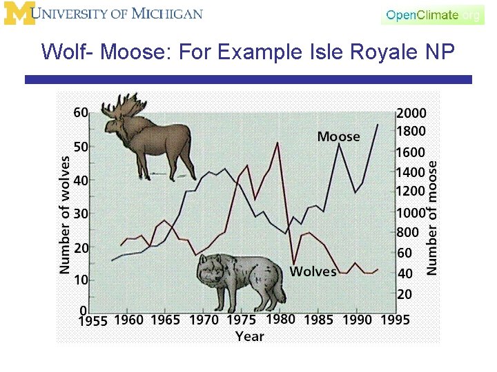 Wolf- Moose: For Example Isle Royale NP 