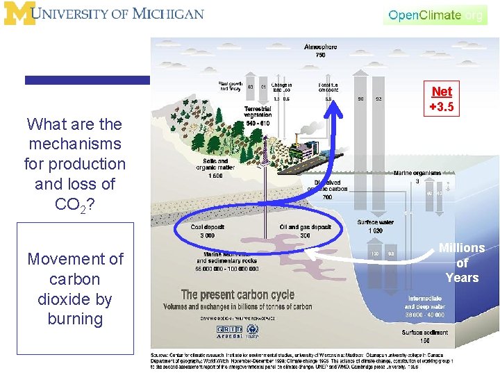 Net +3. 5 What are the mechanisms for production and loss of CO 2?