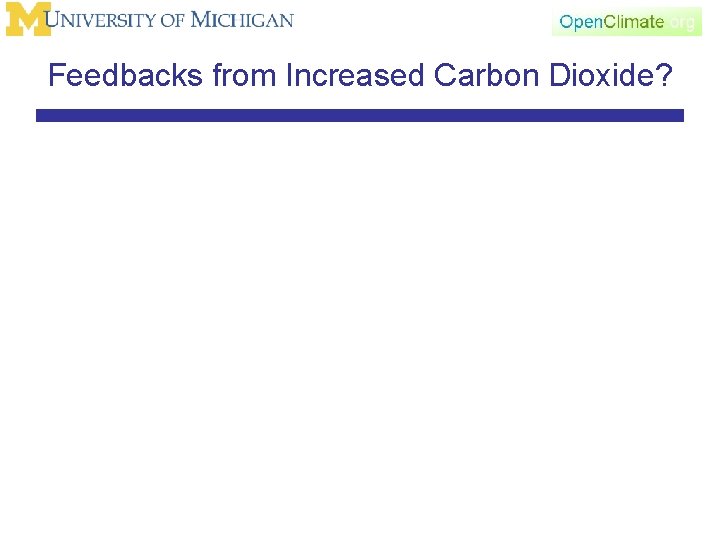 Feedbacks from Increased Carbon Dioxide? 