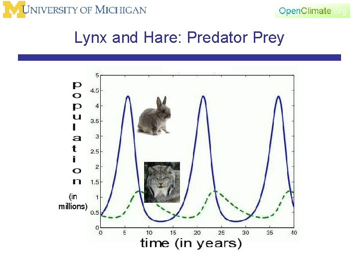 Lynx and Hare: Predator Prey 