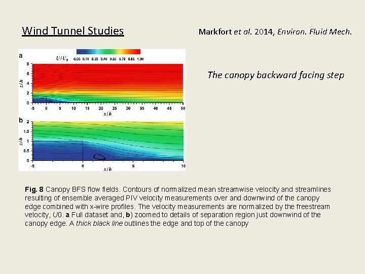 Wind Tunnel Studies Markfort et al. 2014, Environ. Fluid Mech. The canopy backward facing