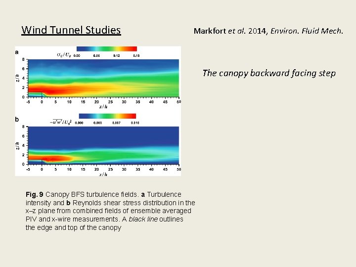 Wind Tunnel Studies Markfort et al. 2014, Environ. Fluid Mech. The canopy backward facing