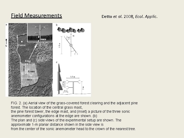 Field Measurements Detto et al. 2008, Ecol. Applic. FIG. 2. (a) Aerial view of