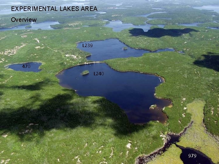 EXPERIMENTAL LAKES AREA Overview L 239 470 L 240 979 