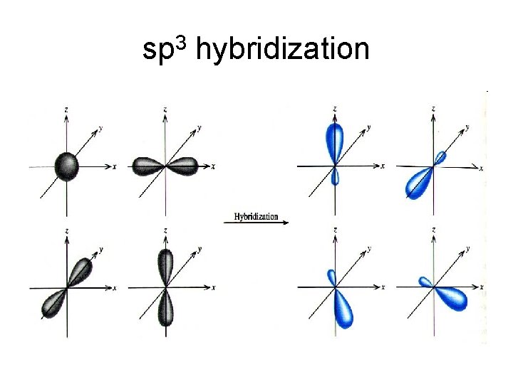 sp 3 hybridization 