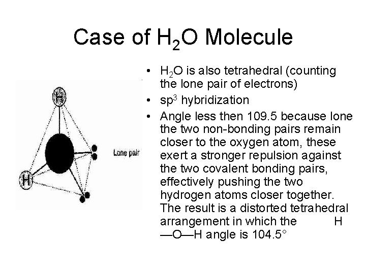 Case of H 2 O Molecule • H 2 O is also tetrahedral (counting