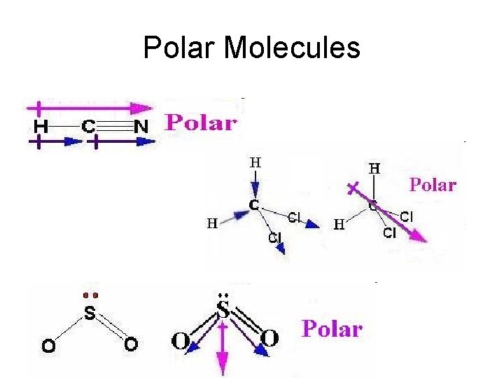 Polar Molecules 