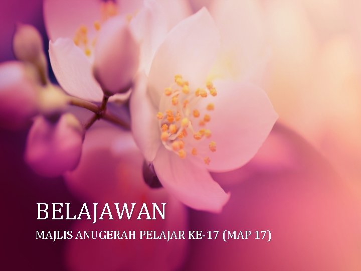 BELAJAWAN MAJLIS ANUGERAH PELAJAR KE-17 (MAP 17) 