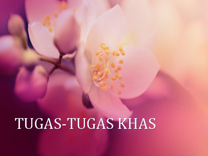 TUGAS-TUGAS KHAS 