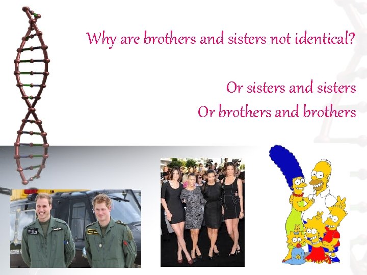 Why are brothers and sisters not identical? Or sisters and sisters Or brothers and