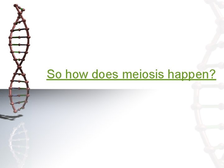 So how does meiosis happen? 