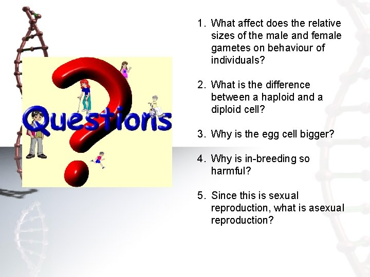 1. What affect does the relative sizes of the male and female gametes on