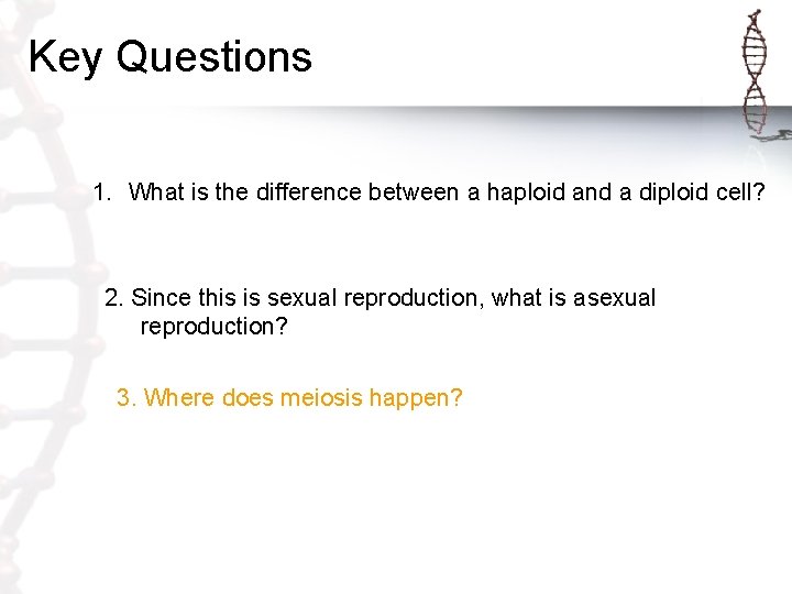 Key Questions 1. What is the difference between a haploid and a diploid cell?