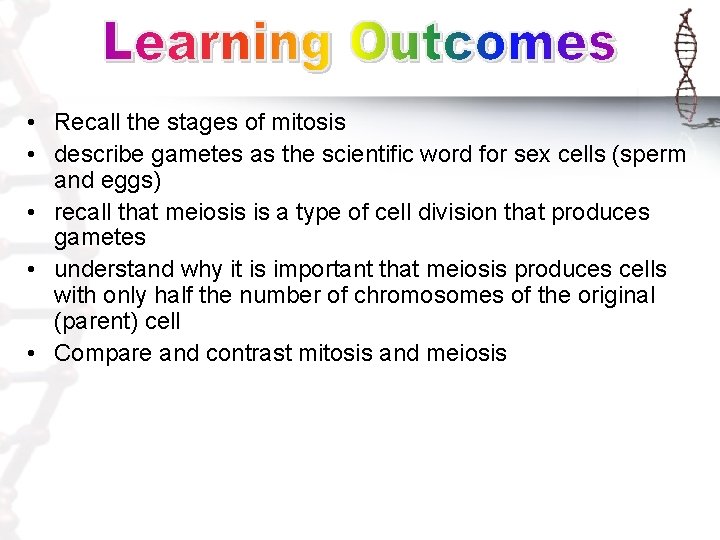  • Recall the stages of mitosis • describe gametes as the scientific word