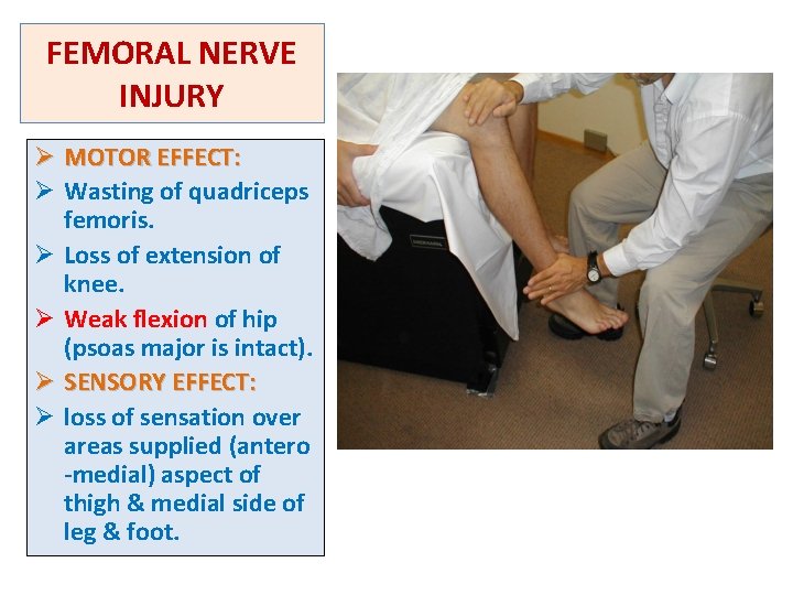 FEMORAL NERVE INJURY Ø MOTOR EFFECT: Ø Wasting of quadriceps femoris. Ø Loss of