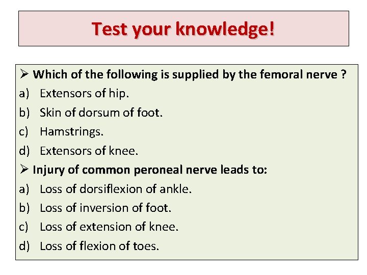 Test your knowledge! Ø Which of the following is supplied by the femoral nerve