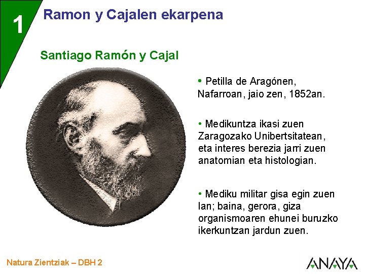 1 Ramon y Cajalen ekarpena Santiago Ramón y Cajal • Petilla de Aragónen, Nafarroan,
