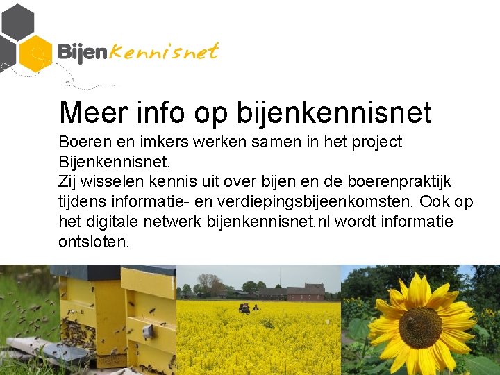 Meer info op bijenkennisnet Boeren en imkers werken samen in het project Bijenkennisnet. Zij